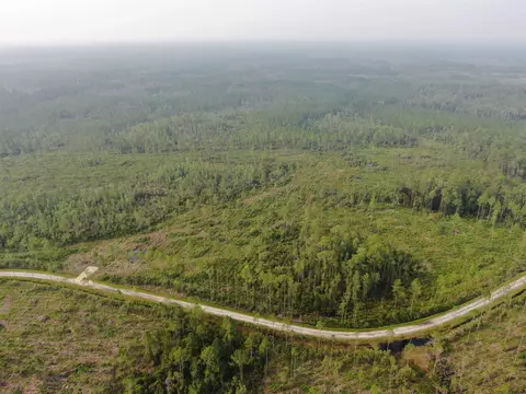 Vacant Circle Block Loop, Perry, FL 32348 photo 15