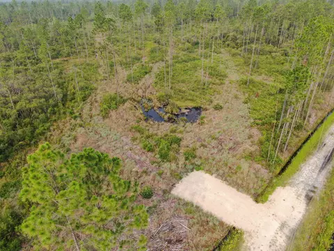 Vacant Circle Block Loop, Perry, FL 32348 photo 12