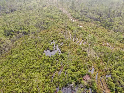 Vacant Circle Block Loop, Perry, FL 32348 photo 22