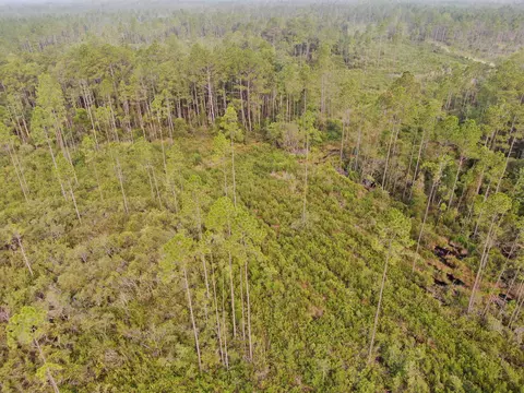 Vacant Circle Block Loop, Perry, FL 32348 photo 35