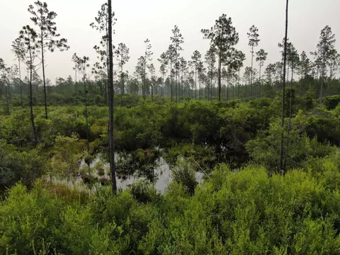 Vacant Circle Block Loop, Perry, FL 32348 photo 29