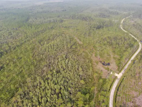 Vacant Circle Block Loop, Perry, FL 32348 photo 7