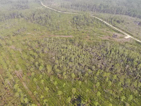 Vacant Circle Block Loop, Perry, FL 32348 photo 8