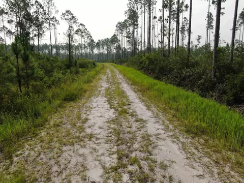 Vacant Circle Block Loop, Perry, FL 32348 photo 39