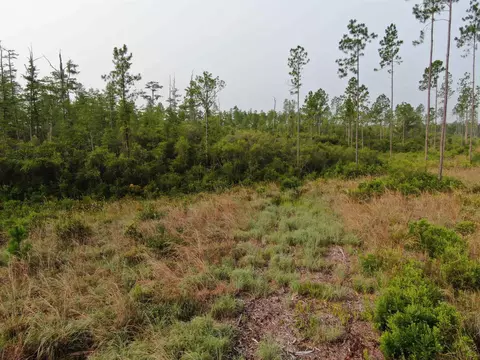 Vacant Circle Block Loop, Perry, FL 32348 photo 31