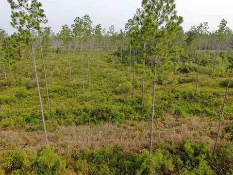 Vacant Circle Block Loop, Perry, FL 32348 photo 18