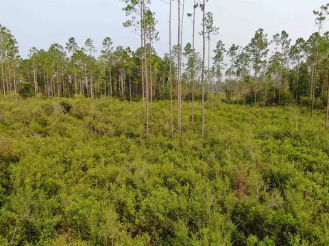 Vacant Circle Block Loop, Perry, FL 32348 photo 23