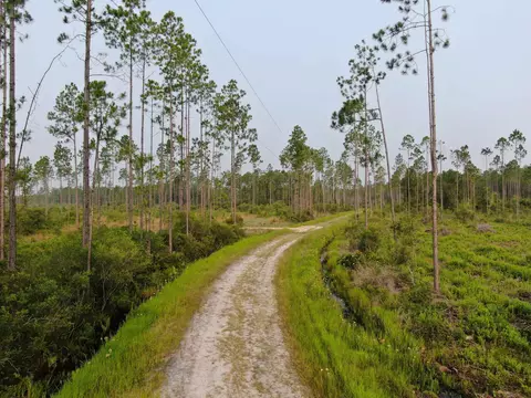Vacant Circle Block Loop, Perry, FL 32348 photo 2
