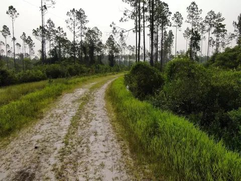 Vacant Circle Block Loop, Perry, FL 32348 photo 25