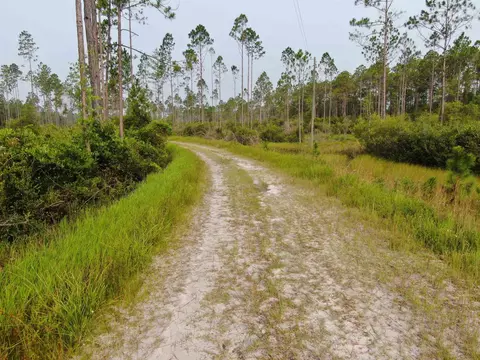 Vacant Circle Block Loop, Perry, FL 32348 photo 36