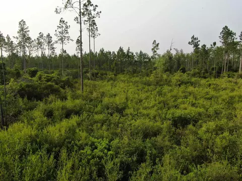 Vacant Circle Block Loop, Perry, FL 32348 photo 26