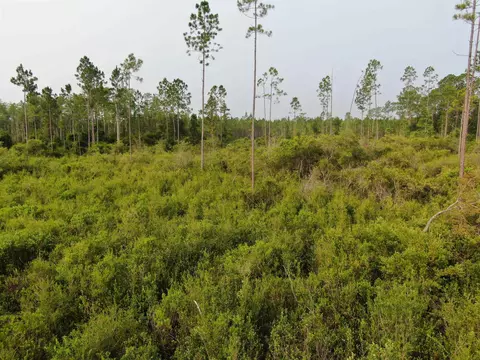 Vacant Circle Block Loop, Perry, FL 32348 photo 24