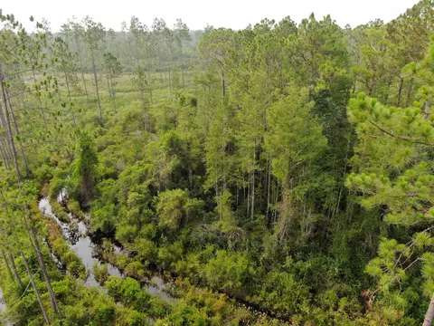 Vacant Circle Block Loop, Perry, FL 32348 photo 40