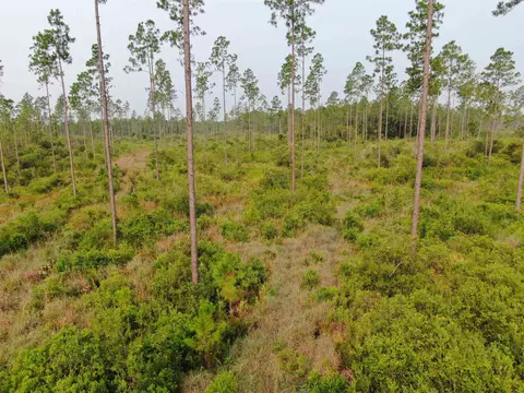 Vacant Circle Block Loop, Perry, FL 32348 photo 34