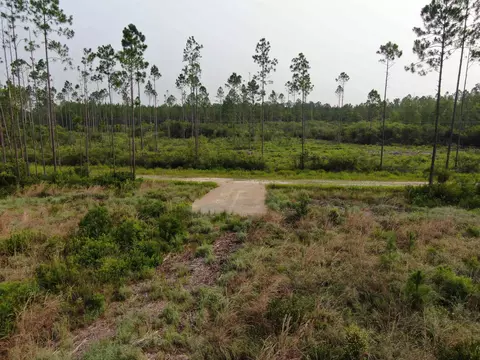 Vacant Circle Block Loop, Perry, FL 32348 photo 14