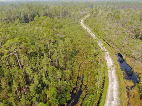 Vacant Circle Block Loop, Perry, FL 32348 photo 33