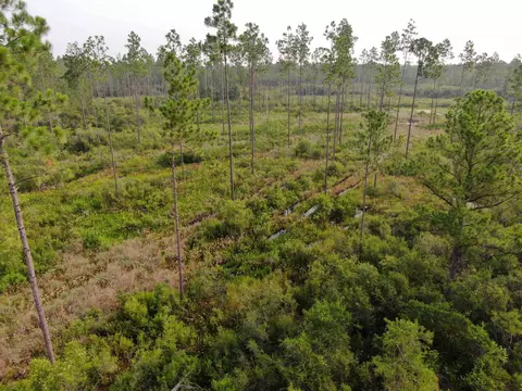 Vacant Circle Block Loop, Perry, FL 32348 photo 3