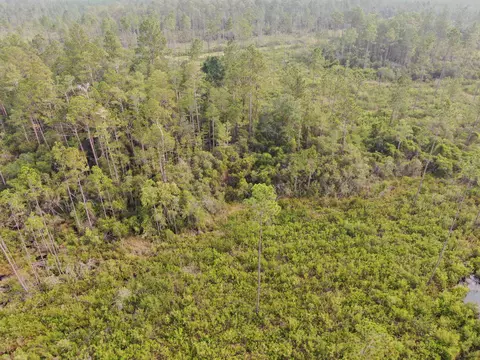 Vacant Circle Block Loop, Perry, FL 32348 photo 21