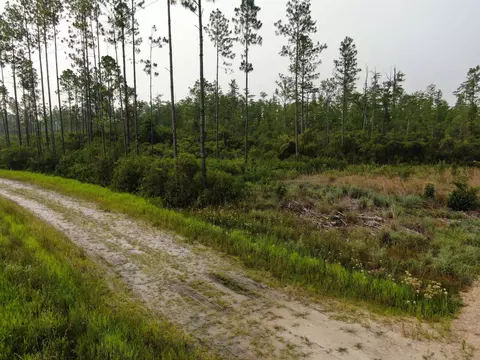 Vacant Circle Block Loop, Perry, FL 32348 photo 30