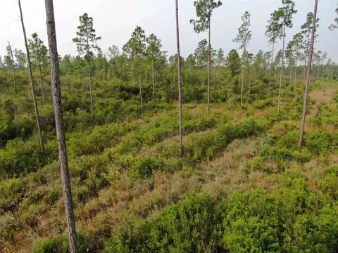 Vacant Circle Block Loop, Perry, FL 32348 photo 38