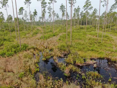 Vacant Circle Block Loop, Perry, FL 32348 photo 5