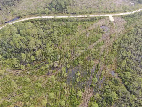 Vacant Circle Block Loop, Perry, FL 32348 photo 16