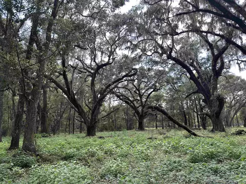 2930 Coastal Hwy #LOT 1, Crawfordville, FL 32327