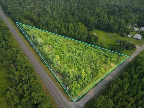 Tbd NW Turkey Creek Road, Bristol, FL 32321