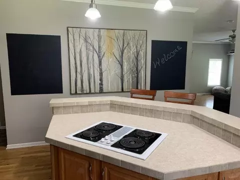 11119 Bill Howell Rd, Perry, FL 32348 photo 13