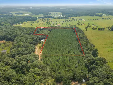 Tbd NW Coachwhip Avenue, Madison, FL 32340