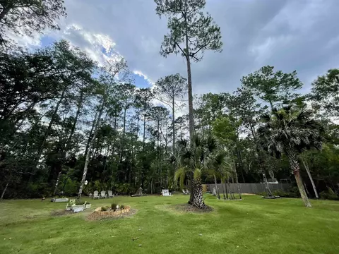 52 Burnt Pine Loop, Saint Marks, FL 32355 photo 34