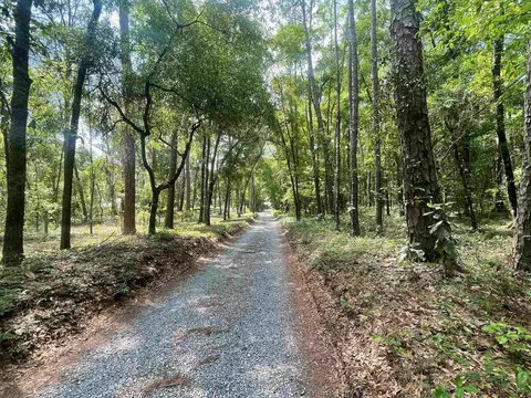 Nnn Bird Song Trail, Tallahassee, FL 32309