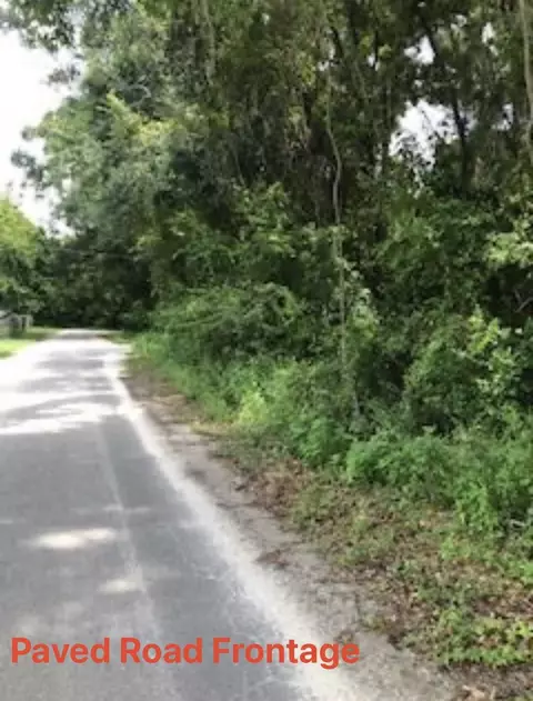 Tbd Haffyte Drive, Greenville, FL 32331