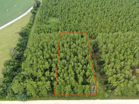 Vacant NE Cottonwood Street, Pinetta Madison County, FL 32350