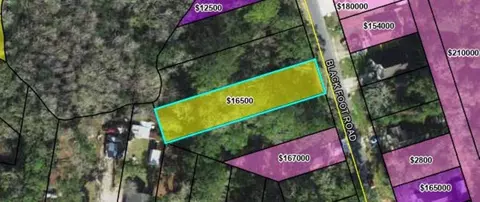 Nnn Blackfoot Road, Crawfordville, FL 32327