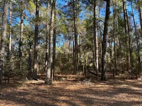0 Ox Bottom Rd, Tallahassee, FL 32312