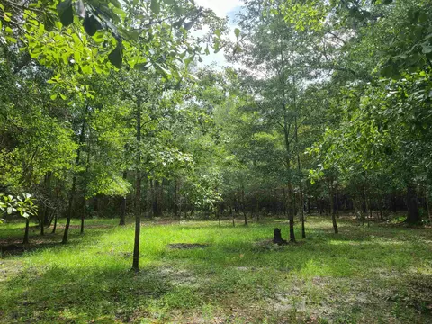 957 NW White Wing Dove Dr, Greenville, FL 32331