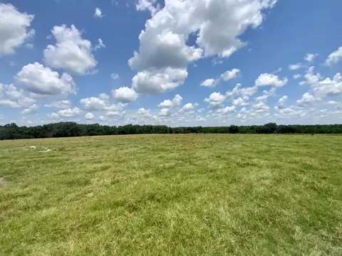 Vacant NE Us 221, Madison County, FL 32331