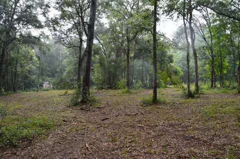 230 W Duckpond Dr, Greenville, FL 32331