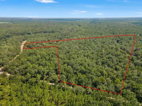 Vacant NE Chervil Drive, Lee, FL 32340