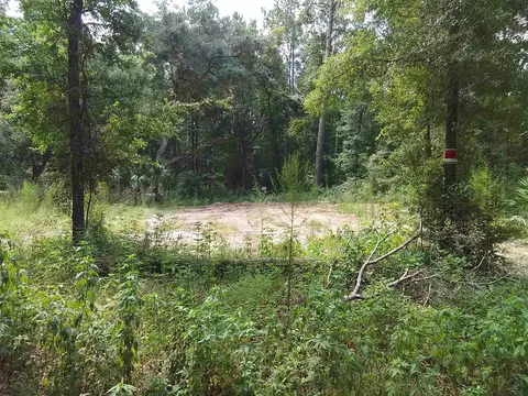 Nn Sioux Trail, Crawfordville, FL 32327