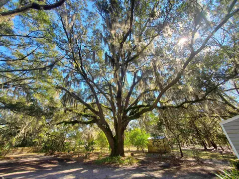 169 Lewis Dr, Perry, FL 32348 photo 32