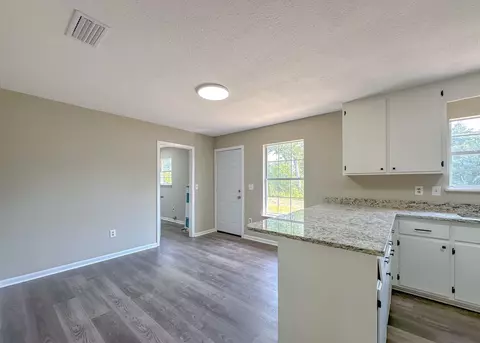 23542 NW Blackbottom Rd, Altha, FL 32421 photo 17