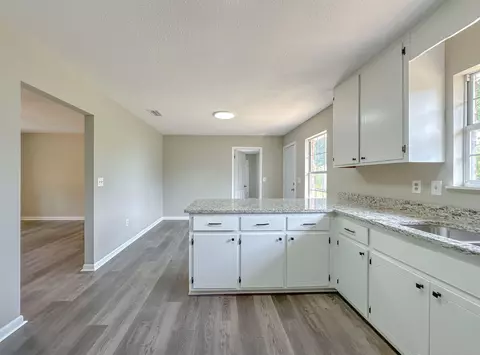 23542 NW Blackbottom Rd, Altha, FL 32421 photo 5