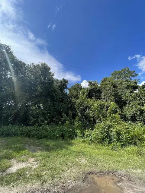 Nnn Lost Pine Drive, Tallahassee, FL 32305