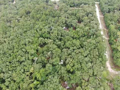 11042 Forest St, Perry, FL 32347 photo 5