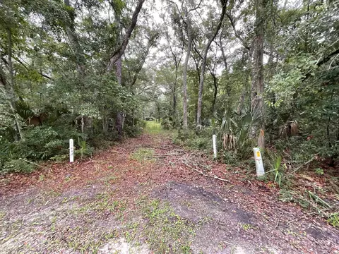 11042 Forest St, Perry, FL 32347 photo 25