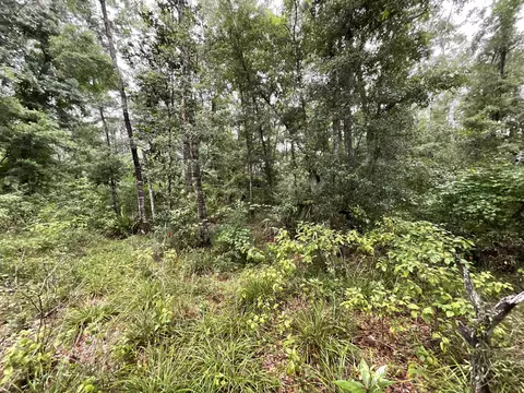 11042 Forest St, Perry, FL 32347 photo 33