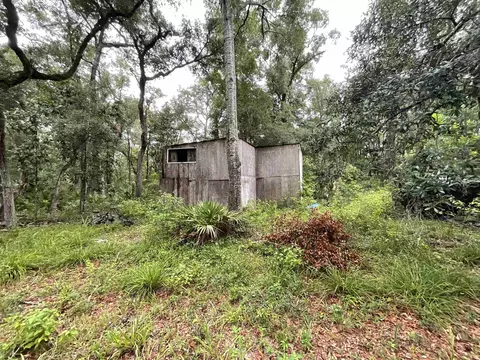 11042 Forest St, Perry, FL 32347 photo 27