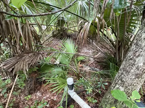 11042 Forest St, Perry, FL 32347 photo 38
